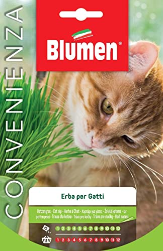 Blumen Sementi, Erba Gatta