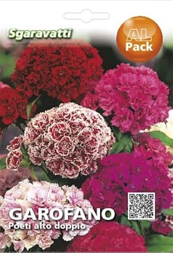 Semi Garofano Dei Poeti Pianta Perenne Garofani Per Giardino Fiorito Seeds Semillas Semen Graines