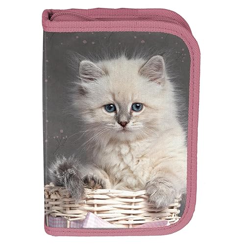 Paso Pp24Aw-P001, Astuccio Paso Cat, Multicolor