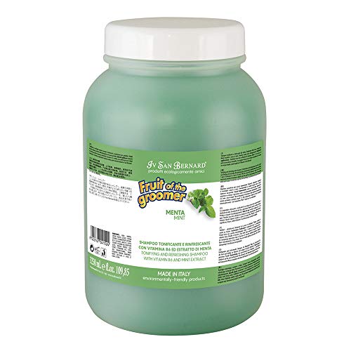 Iv San Bernard 020508 Fruits Shampoo Menta 3250 Ml