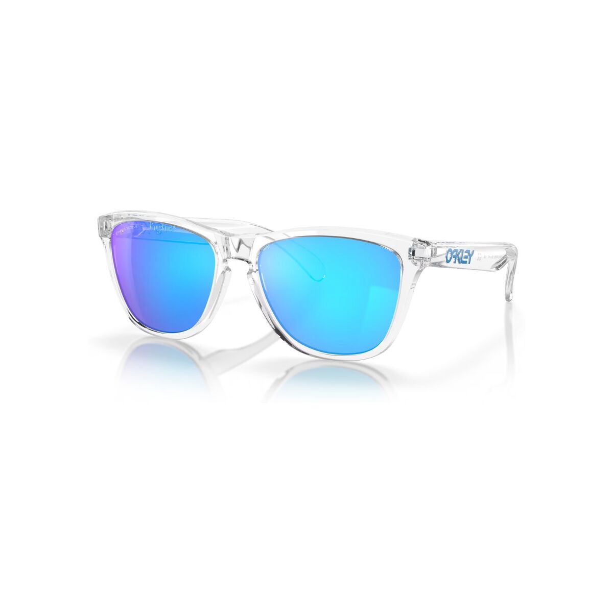 Oakley Fogskins Blue White Glasses