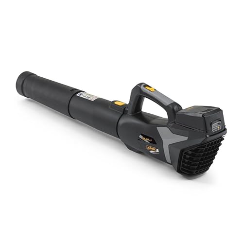 Alpina Ab 20 Li Kit Soffiatore A Batteria