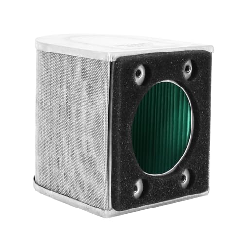 Hiflofiltro Filtro Aria - Hfa1509