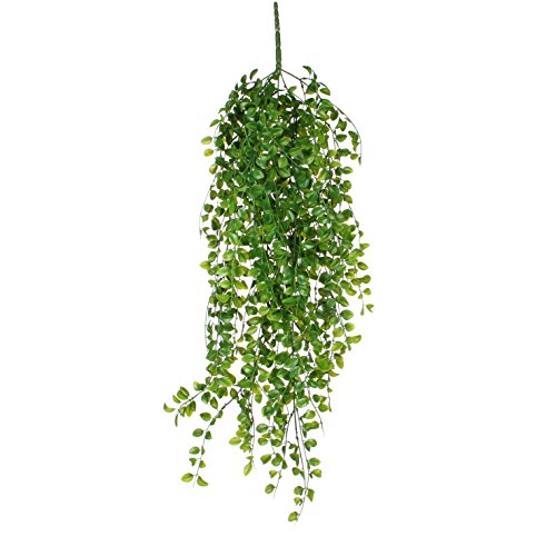 Mica Decorations Haengend Gruen-L81Cm Ficus Colgante Color Verde 81Cm, 81 X 20 X 20 Cm, 6 Unità
