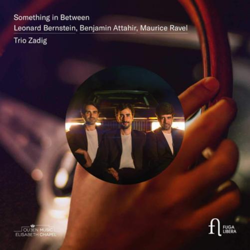 Trio Zadig Trio Zadig: Something in Between (CD) Album