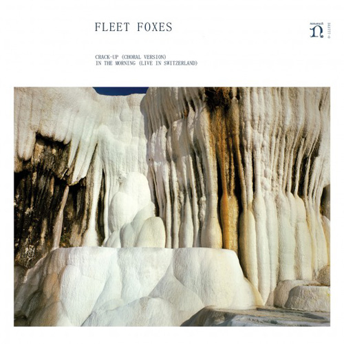 Fleet Foxes  Crack-Up 45 Giri  Vinile Nuovo