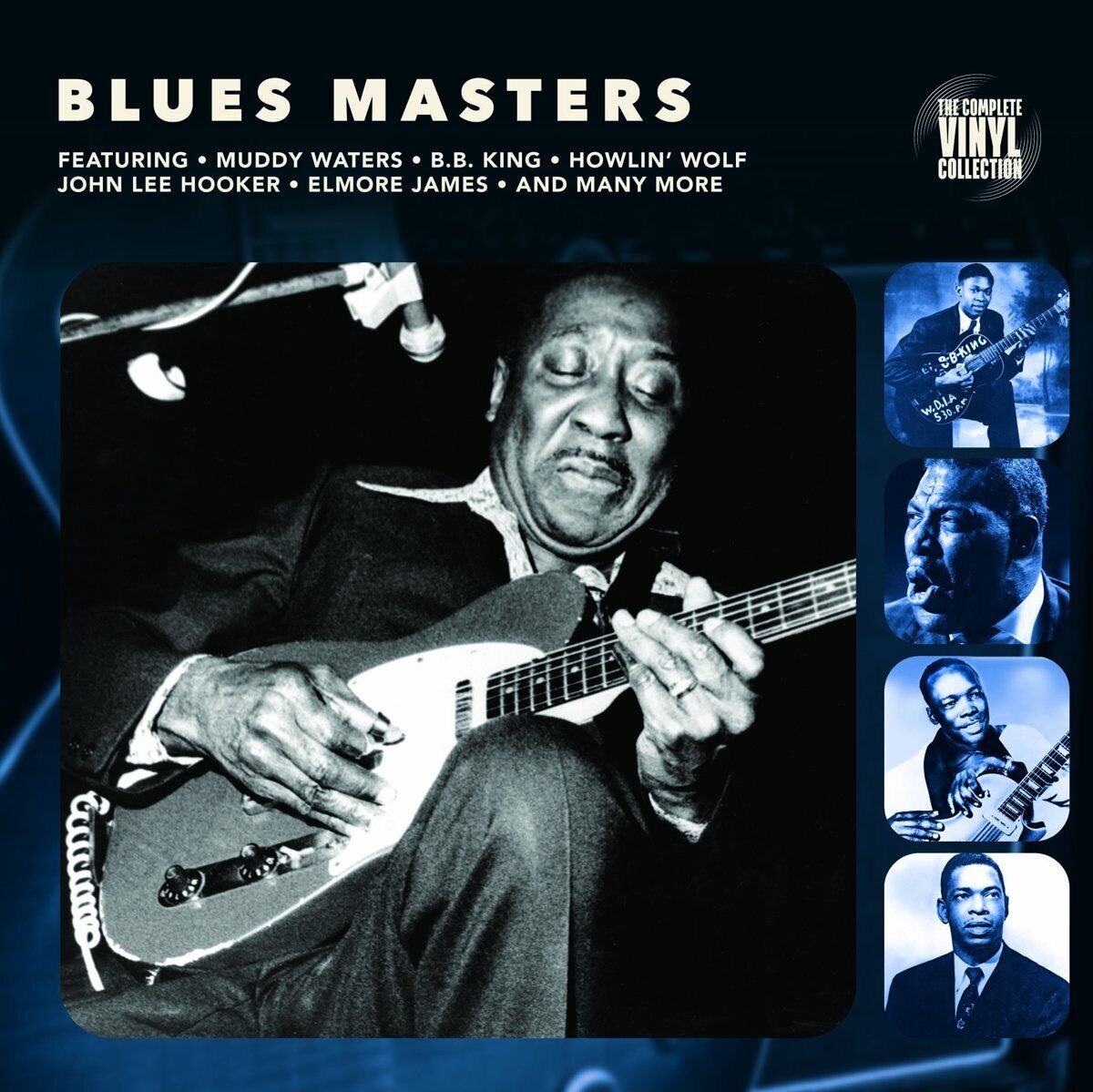 Various Blues Masters (Vinyl LP)