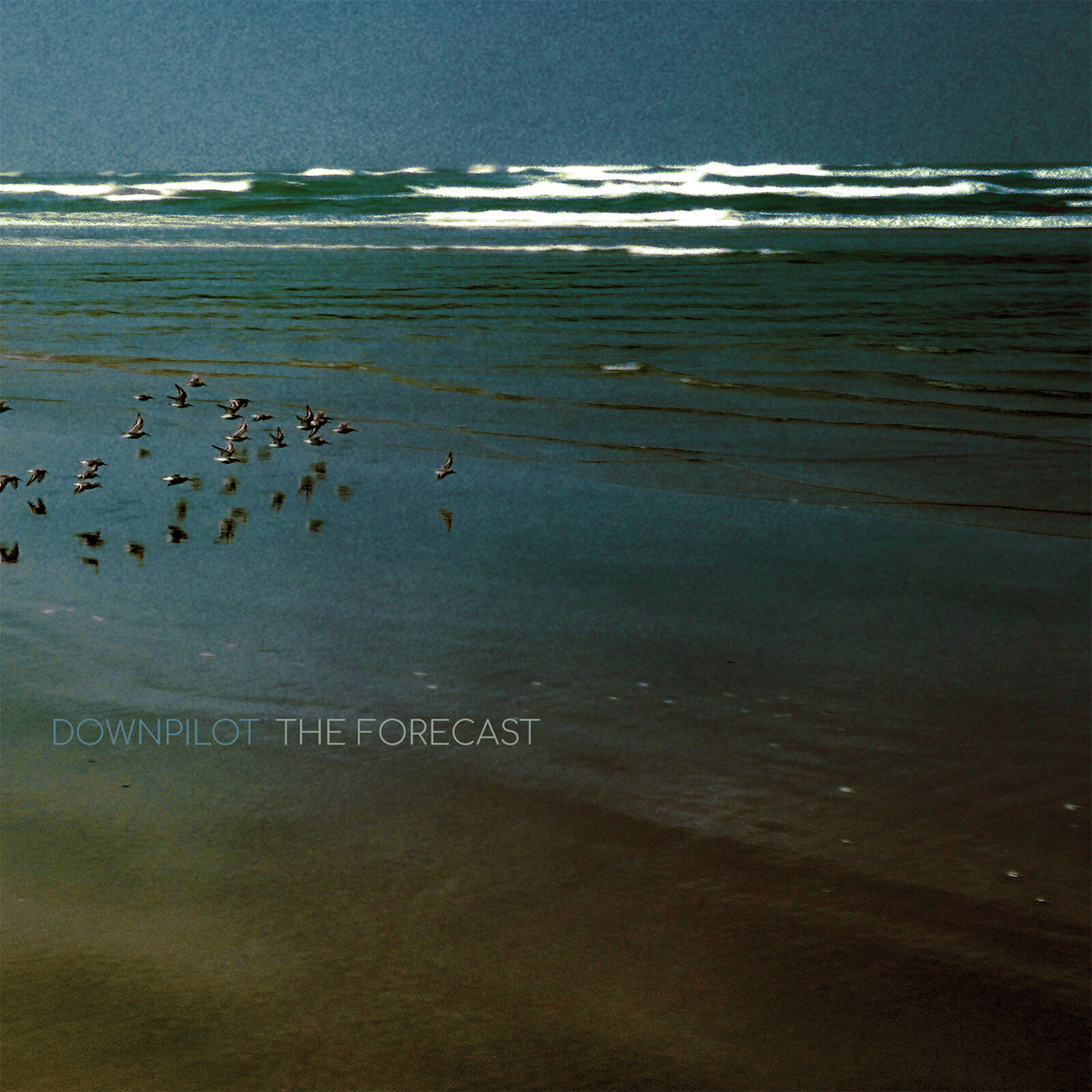 Downpilot The Forest (Vinyl LP) 12" Album