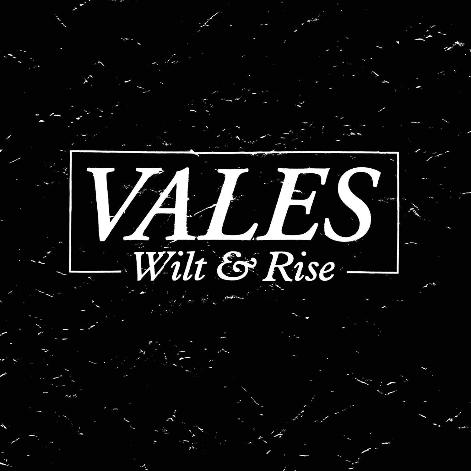 Vales Wilt & Rise (CD) Album
