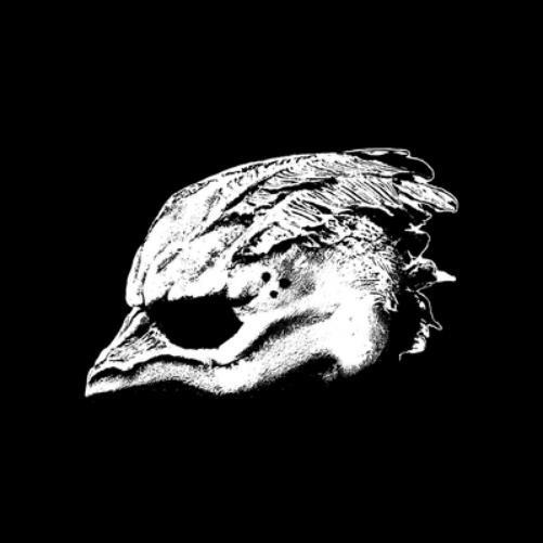 Legend of the Seagullmen Legend of the Seagullmen (CD) Album