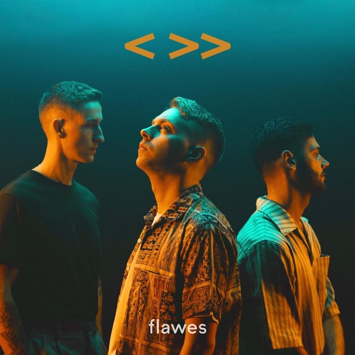 Flawes One Step Back, Two Steps Forward (Vinyl LP)