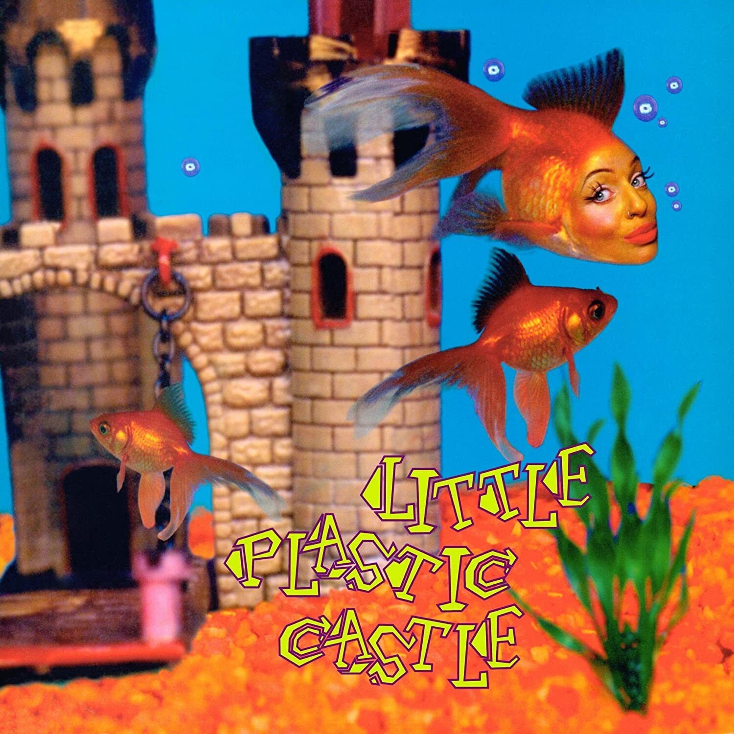 Ani DiFranco Little Plastic Castle (Vinyl LP) 25th Anniversary  12" Album