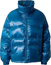 Giubbotto donna Levi's A5895