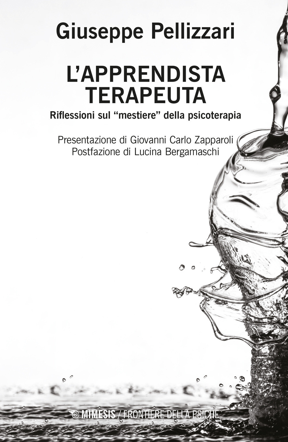 L'apprendista terapeuta. Ediz. ampliata - Pellizzari Giuseppe