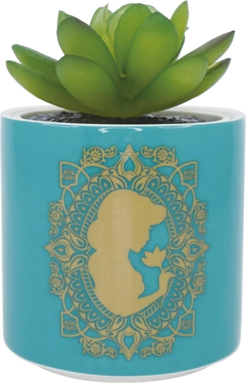 Disney: Half Moon Bay - Aladdin - Turquoise (Plant Pot Faux Boxed 6.5 Cm / Piant