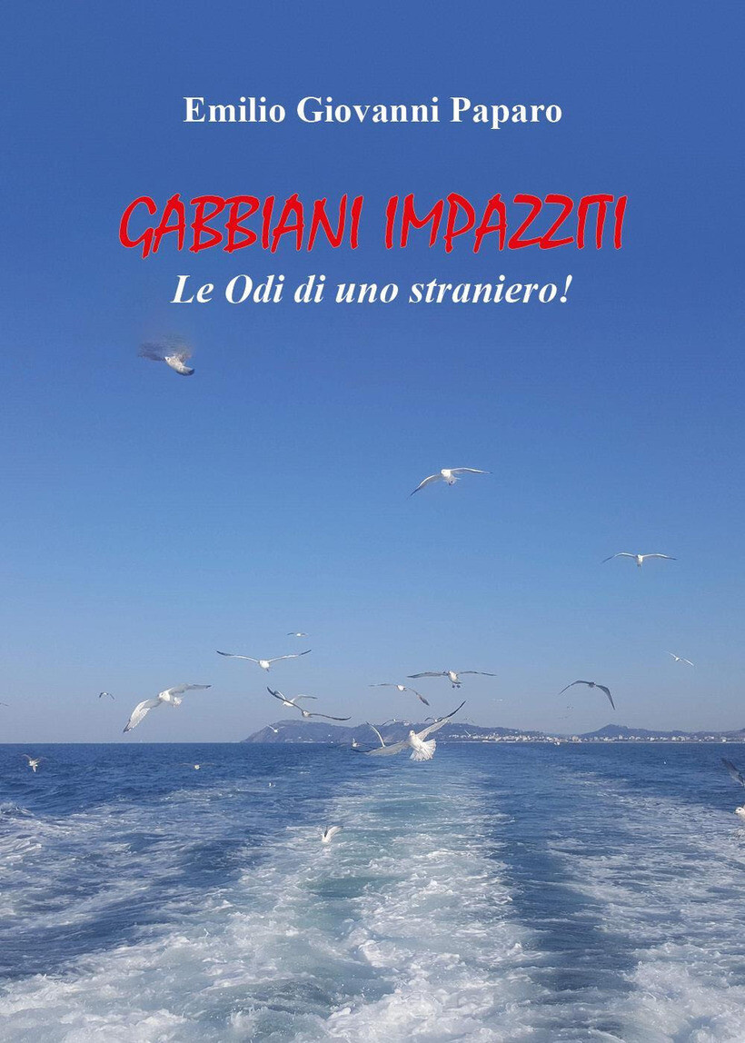 GABBIANI IMPAZZITI - PAPARO EMILIO GIOVANNI 9791222758466
