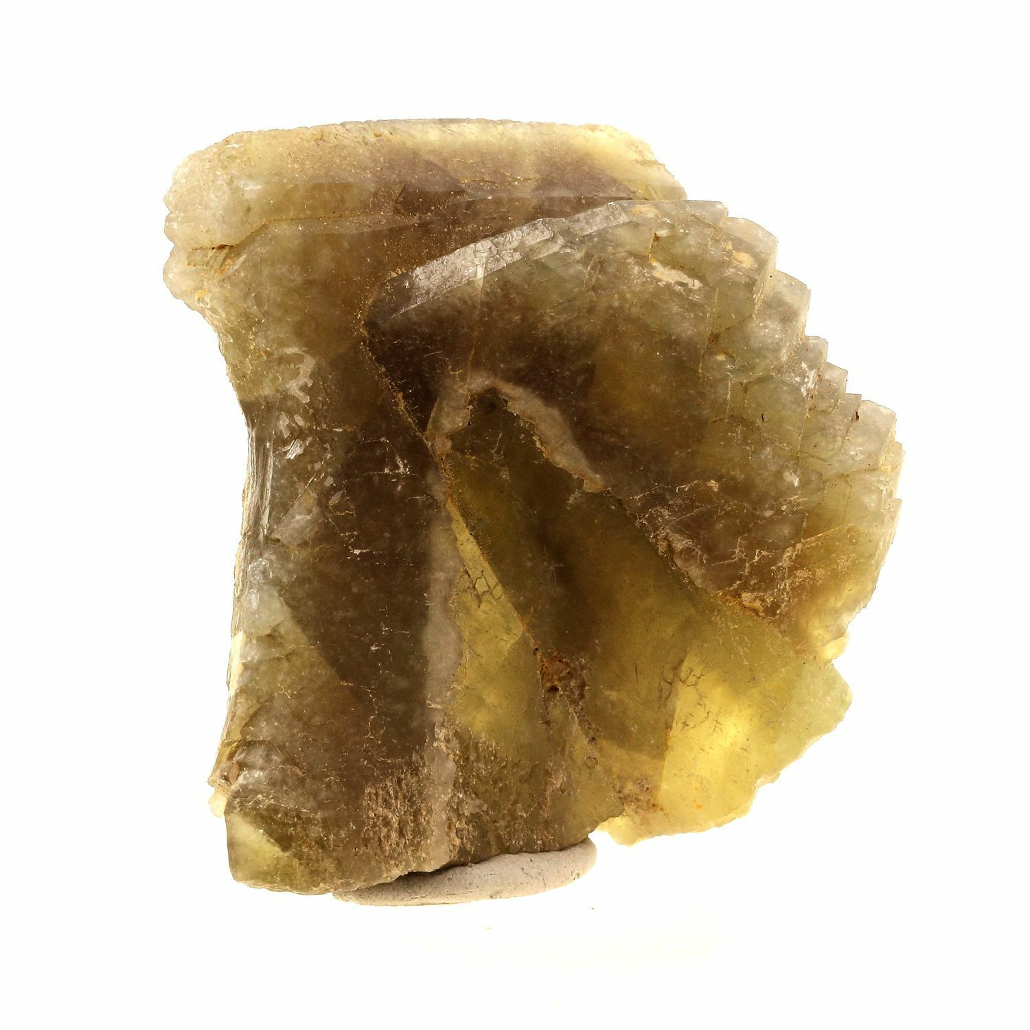 Baritato Peigne. 750.0 Ct. Saint-Georges-Les-Bains,Ardeche,Francia