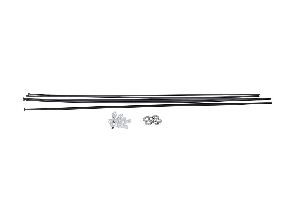 DT Swiss Kit raggi per PR 1600 Spline 21 Straight Pull
