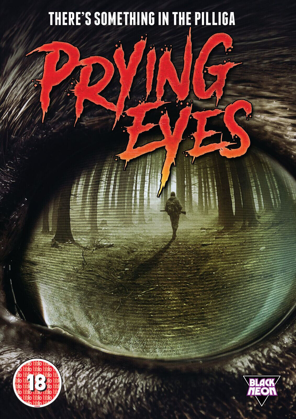 Prying Eyes (DVD) Paul Denham Brendan Byrne Leoni Leaver Rebecca Callander