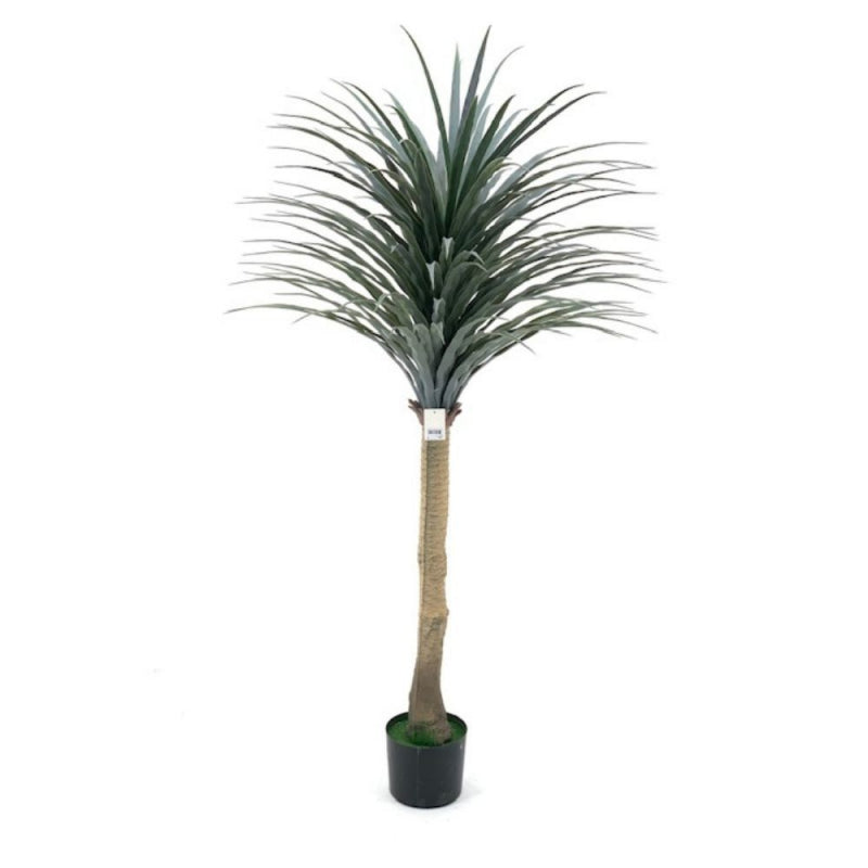 Pianta ornamentale di dracena 150 cm con vaso
