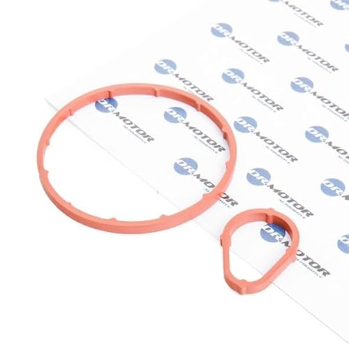 Dr.Motor Automotive Kit Guarnizioni Pompa A Depressione Drm0612 2 (Dy)