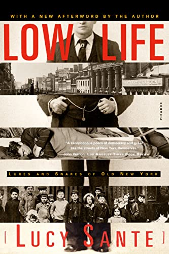 Low Life: Lures And Snares Of Old New York