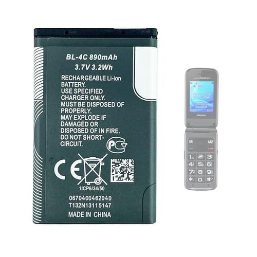 Aousavo Bigfp800Ac Batteria Di Ricambio Compatibile Con Brondi Amico Grande 2 Lcd/Brondi Contender/Brondi Amico Grande