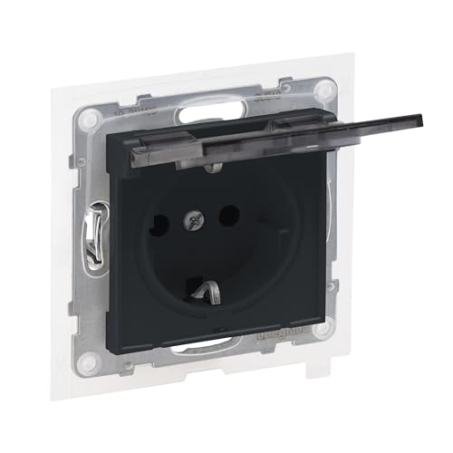 Legrand, Seano 765424 - Presa Con Contatto Di Protezione Contro Il Contatto E Coperchio Ribaltabile Ip44, Morsetti A Innesto, 16 A, 250 V, Colore: Ant