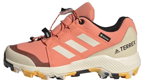 Adidas Terrex Gtx, Scarpe Da Trekking, Corfus Wonwhi Cblack, 36 2/3 Eu
