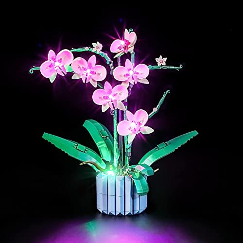 Yeabricks Kit Luci A Led Per Lego 10311 Creator Orchid Modello Da Costruire (Set Lego Non Incluso)